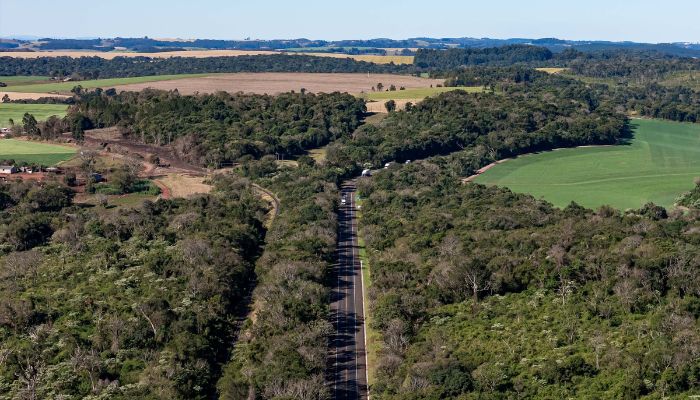  Lote 6 das concessões terá duplicação de Cascavel a Nova Laranjeiras e novos viadutos